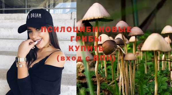 гашиш Арсеньев